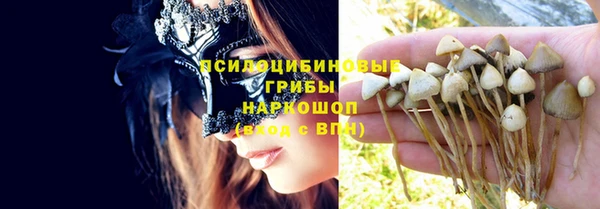 PSILOCYBIN Богородск