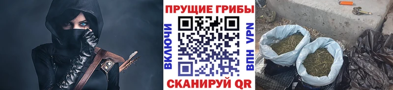 Галлюциногенные грибы Psilocybine cubensis  Купить закладки  Лянтор 